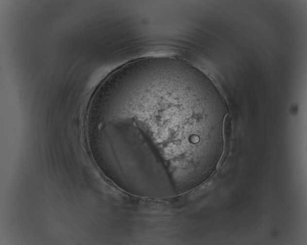 X0000093520337200710191336