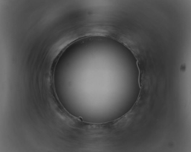 X0000093520338200710191336