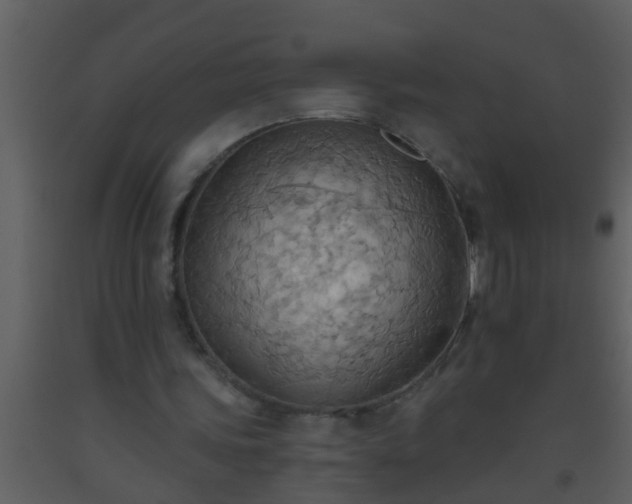 X0000093520339200710191336