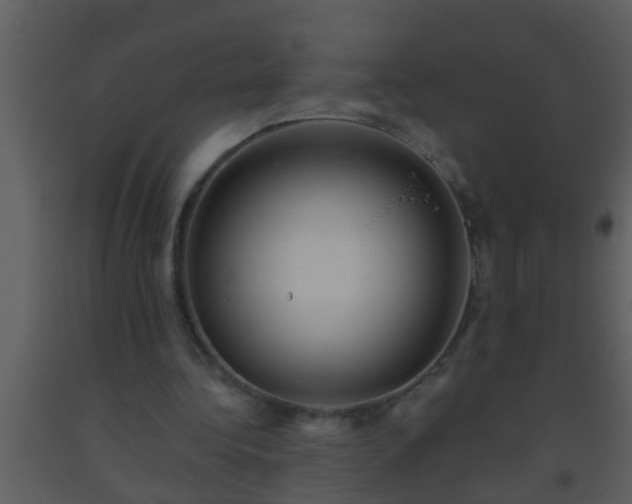 X0000093520340200710191336