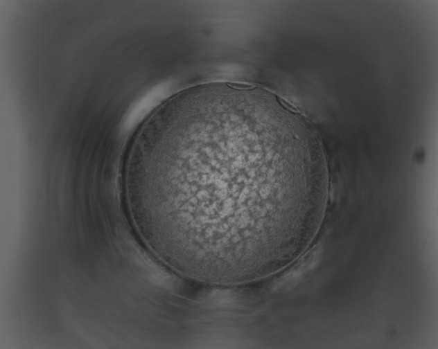 X0000093520341200710191336