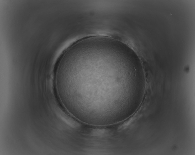 X0000093520342200710191336