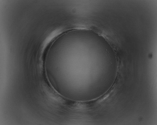 X0000093520343200710191336