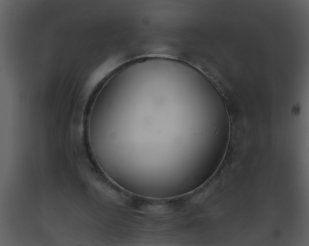 X0000093520344200710191336