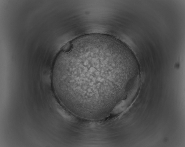 X0000093520345200710191336