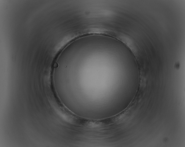 X0000093520346200710191336