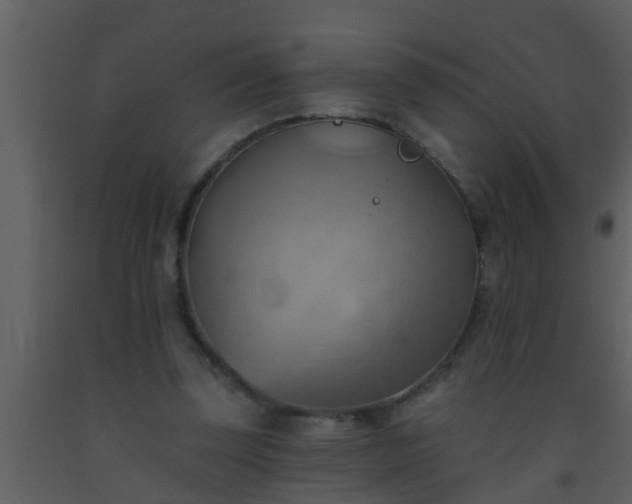 X0000093520347200710191336