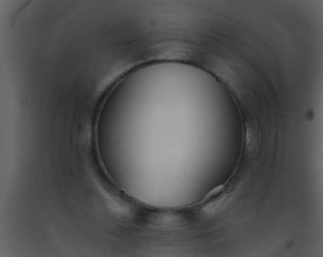 X0000093520348200710191336