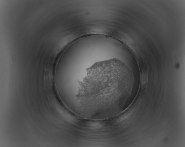 X0000093520349200710191336