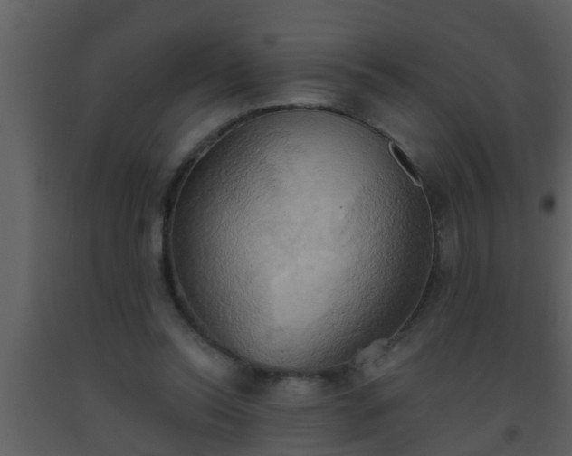 X0000093520350200710191336