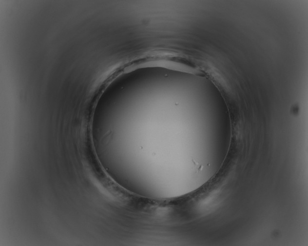 X0000093520352200710191336