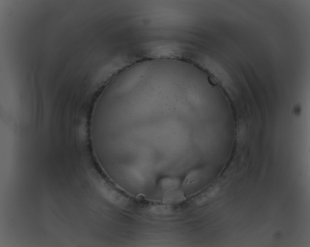 X0000093520353200710191336