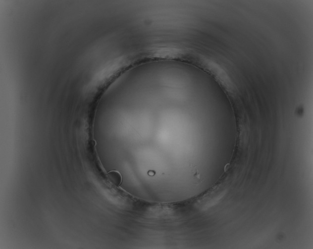 X0000093520354200710191336