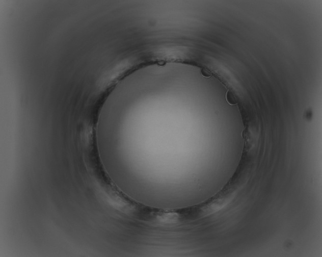 X0000093520355200710191336