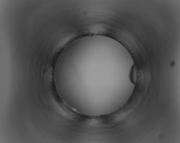 X0000093520356200710191336