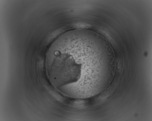 X0000093520357200710191337