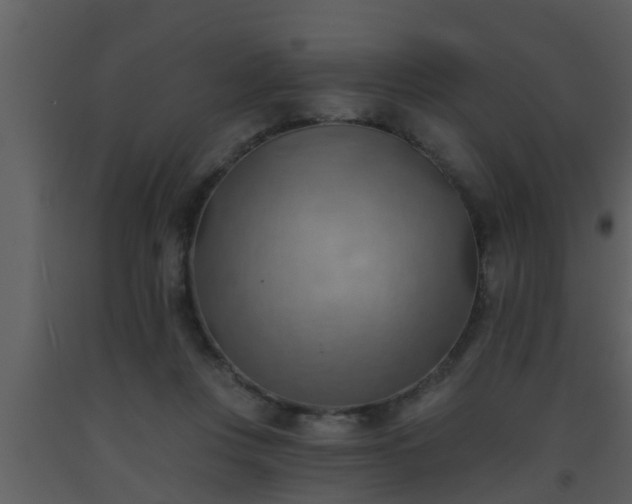 X0000093520359200710191337