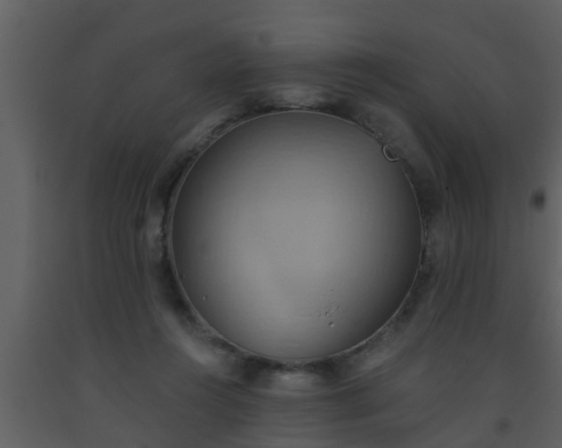 X0000093520360200710191337