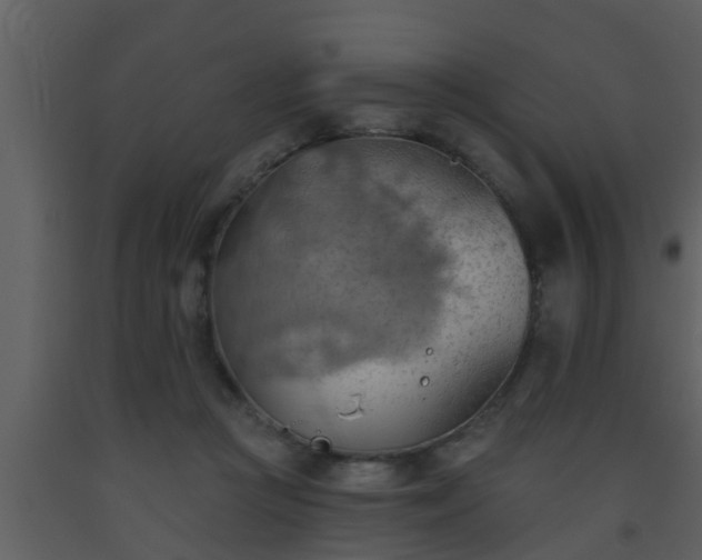 X0000093520361200710191337