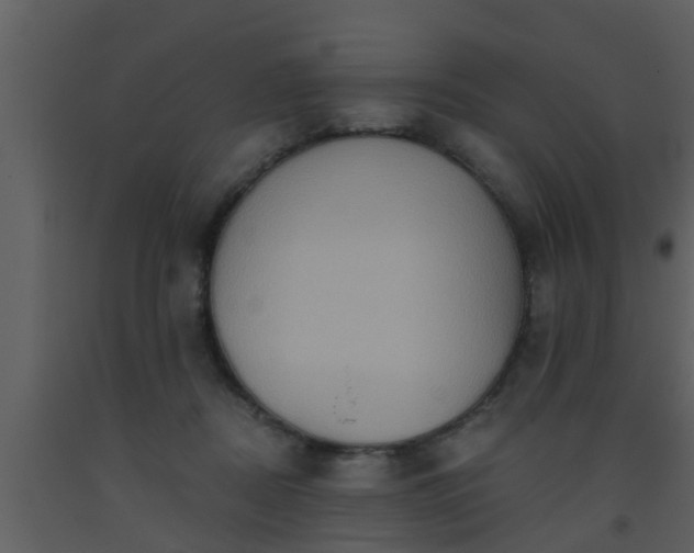 X0000093520362200710191337