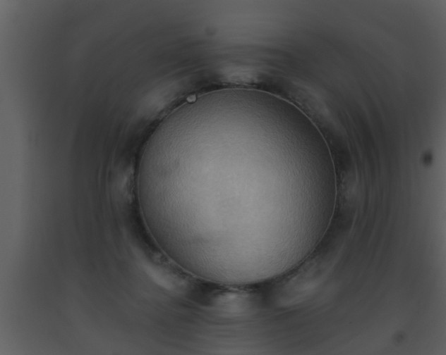 X0000093520364200710191337