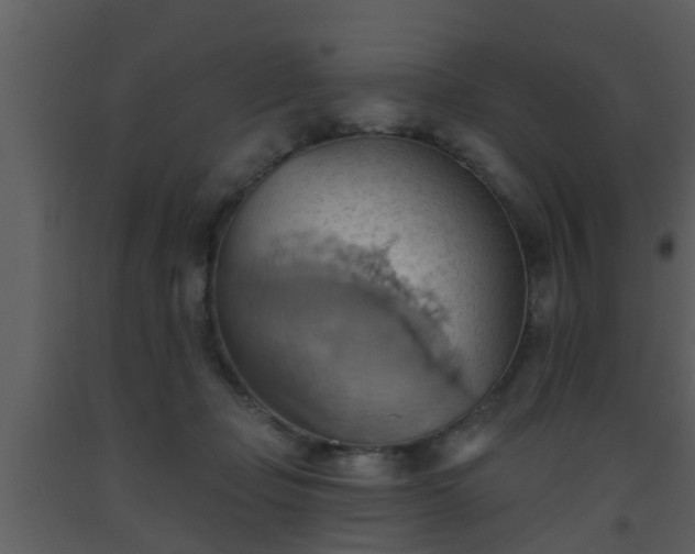 X0000093520365200710191337