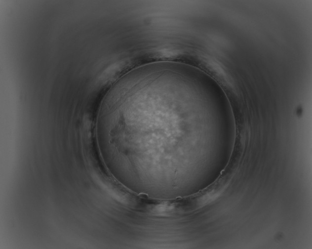 X0000093520366200710191337