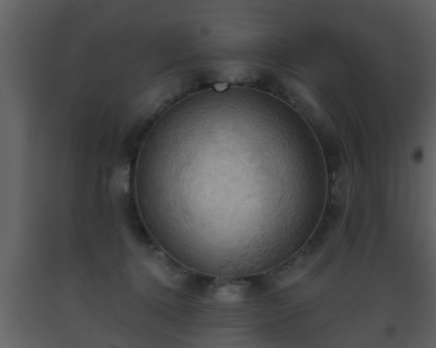 X0000093520368200710191337