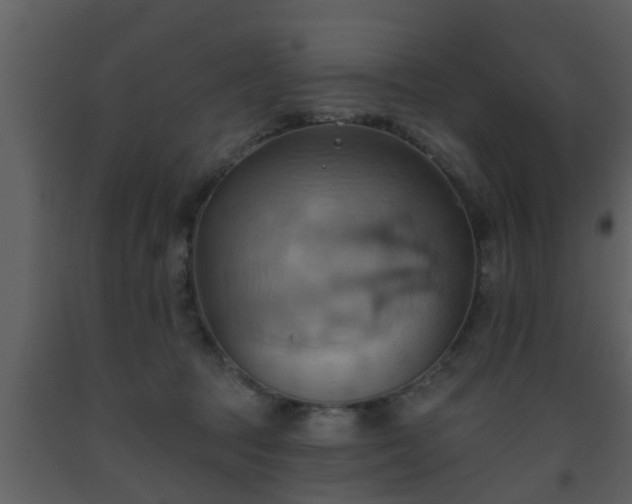 X0000093520369200710191337