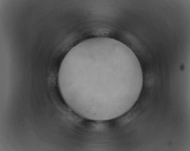 X0000093520370200710191337