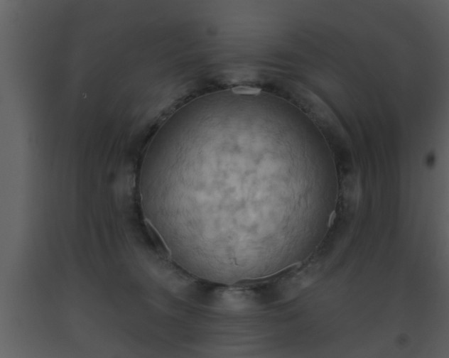 X0000093520372200710191337