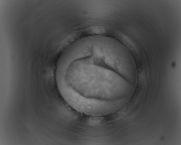 X0000093520373200710191337