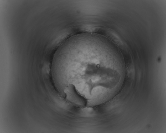 X0000093520374200710191337