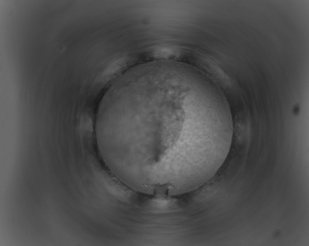 X0000093520375200710191337