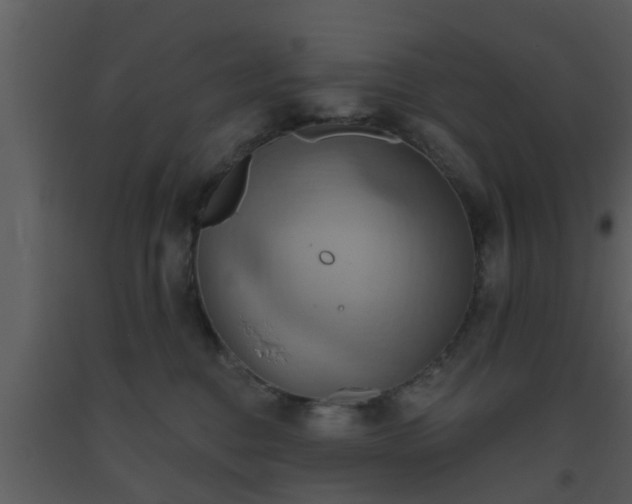 X0000093520376200710191337