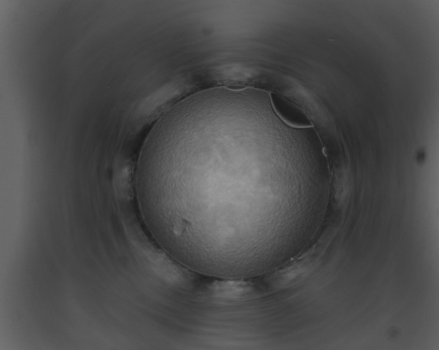 X0000093520378200710191337