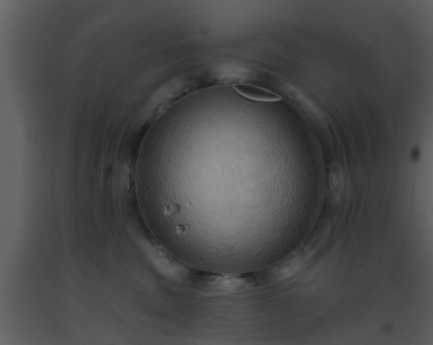 X0000093520379200710191337