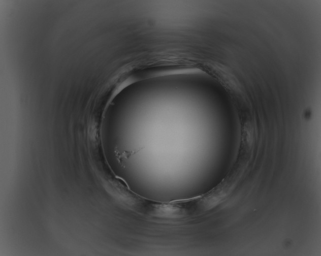 X0000093520380200710191337