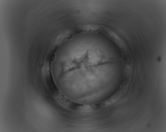 X0000093520381200710191337