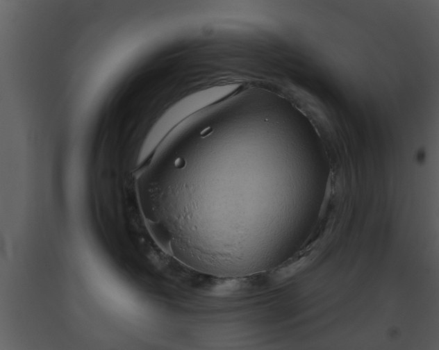 X0000093520382200710191337