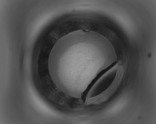 X0000093520383200710191337