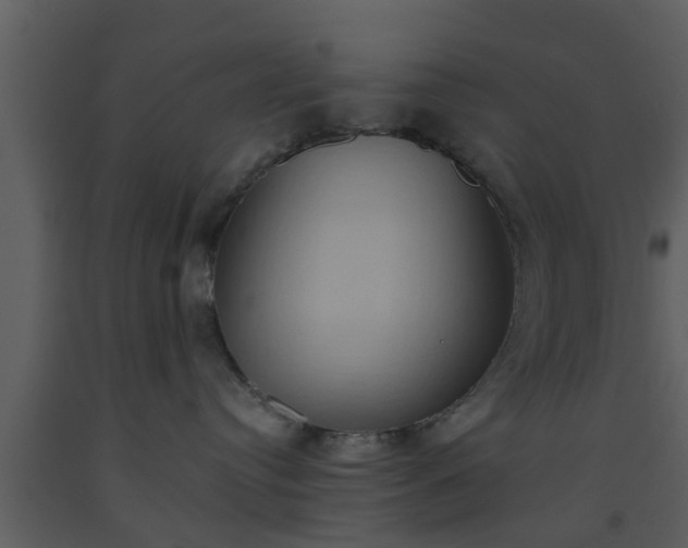 X0000093520384200710191337