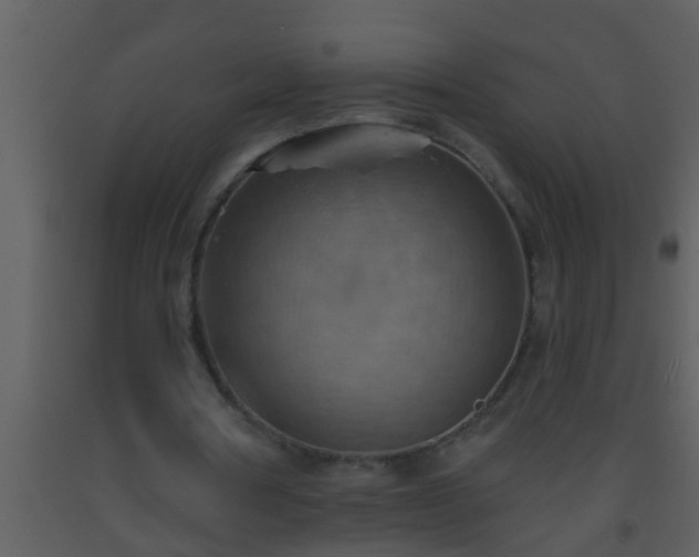 X0000093520386200710191336