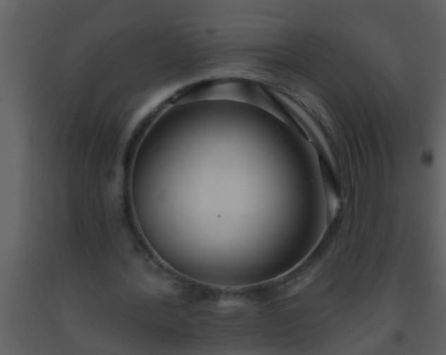 X0000093520388200710191336