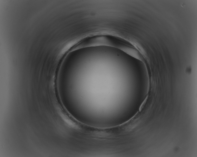 X0000093520389200710191336