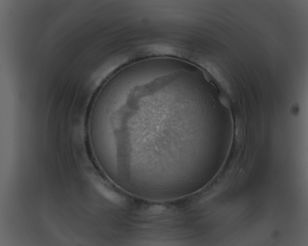 X0000093520390200710191336