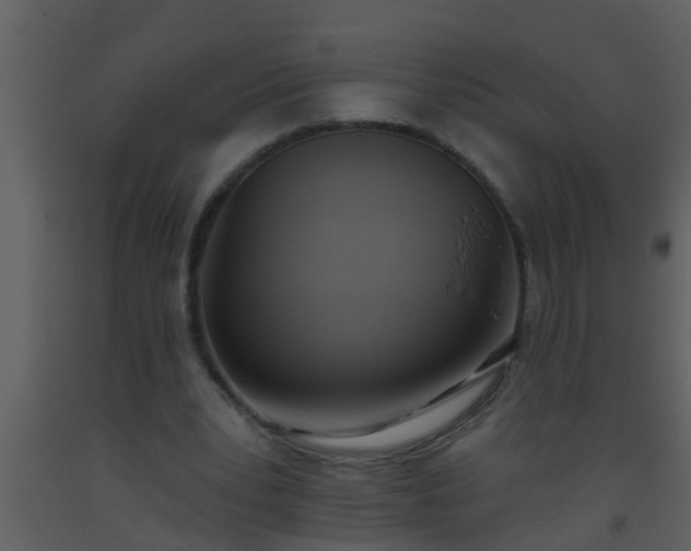 X0000093520391200710191336