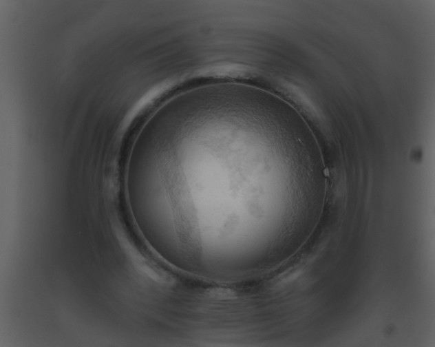 X0000093520392200710191336