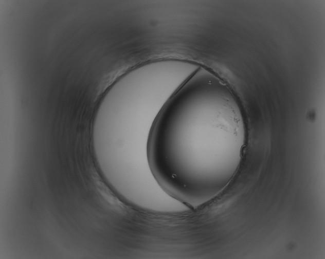 X0000093520393200710191336