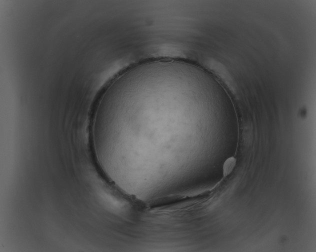 X0000093520395200710191336